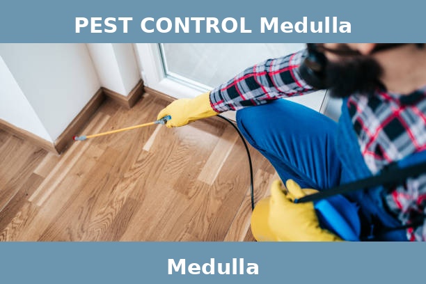 PEST CONTROL Medulla